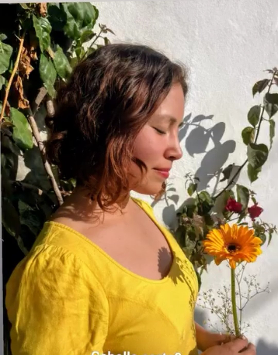 Bitia Hernandez Castro